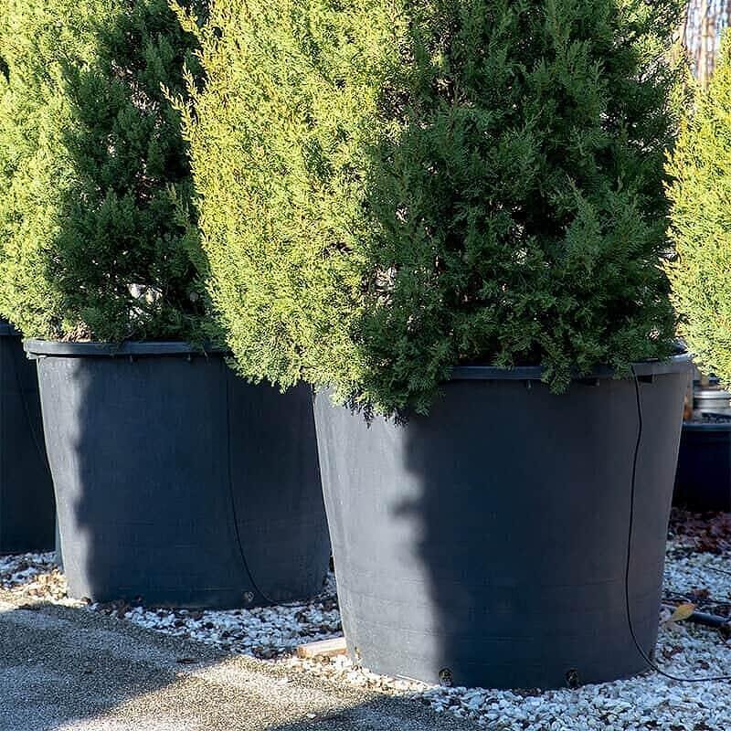 Container L 120 cm - 110 cm / H 78 cm - 750 liters